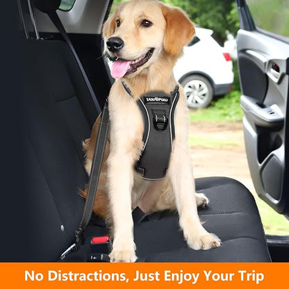 Dog Seat Belt Harness for Car, Dog Car Harness Adjustable Mesh Breathable & Dogs Seatbelt Safety Tether with Elastic Bungee for Small Medium Large Pets(Carbon Black, S)