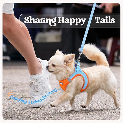 rabbitgoo Dog Harness Small Sized and Leash Set, Step in Soft Light Puppy Vest, Breathable Mesh Pet Harness, Reflective for Safe Easy Walking, Blue & Orange M