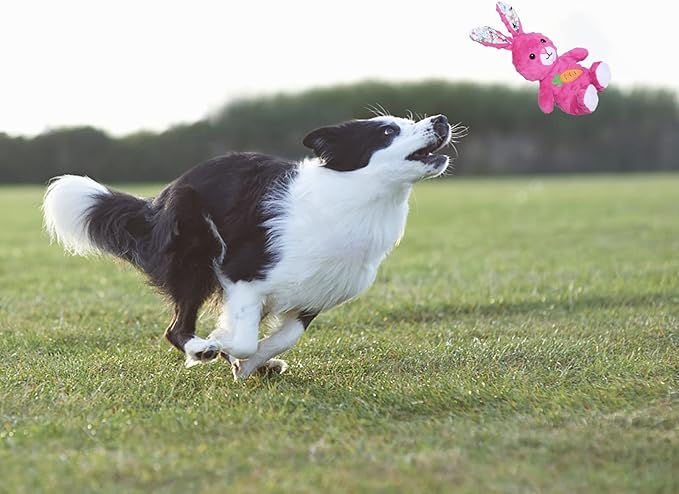 DODODOLA Bunny Squeaky Dog Toy – Crinkle Plush Rabbit Chew Toy for Medium & Large Dogs