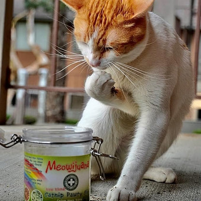 Meowijuana Catnibas Catnip Pawty Mix with Lemongrass Jar | Value Bulk Jar | Premium High Potency Catnip | Premium Hand Harvested North American Catnip | 60g