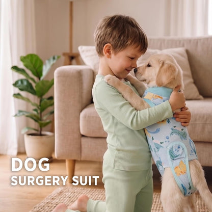 Female Dog Recovery Suit After Spay – 3 Patterns, S–2XL