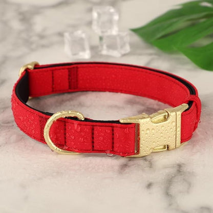 Didog Soft Padded Dog Collars for Medium Dogs, Colorful and Durable Dog Collar with Quick Release Buckle, Light and Breathable for Daily Walking, Red, M
