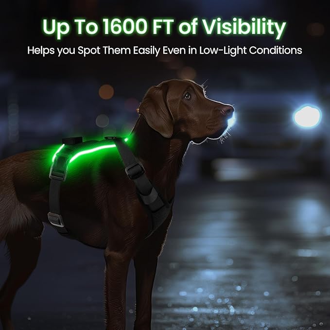 Light Up Dog Harness,No Pull Led Dog Harness Rechargeable, Reflective Lighted Safety Vest for Small Medium Large Dogs,High Visibility,4 Point Adjustable,Breathable Soft Mesh,Black,S