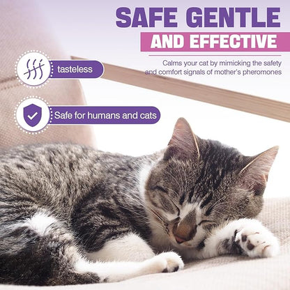 Cat Pheromones Calming Diffuser Refill 6 Pack Multicat Pheromone Diffusers Refills Relieve Anxiety Stress Reduce Spraying Fighting and Scratching for Cats Calm 48ml Fit All Common Diffusers Plug In