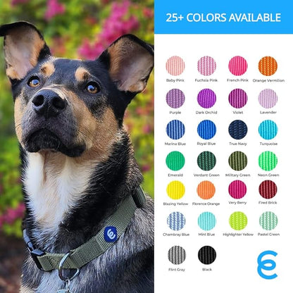 Blueberry Pet Essentials Medium Dog Collar in Marina Blue | Adjustable & Eco-Friendly Durable Nylon Strap | Classic Collar for Medium Dogs, Boy & Girl Pets