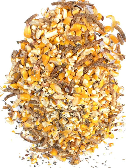 Pampered Chicken Mama Non-GMO Mealworm, Corn, Flax, & Herb Treat (10 Pounds) for Backyard Chickens, Healthy Layer Feed & Supplies for Pet Chickens Poultry Queen Treat for Hens