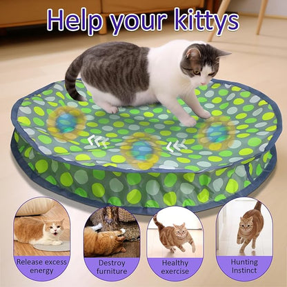Interactive Cat Toys Ball Fast Rolling in Pouch, Motion Activate Chirping Cat Toy Hide and Seek Mouse Catching Game (Halloween Party)