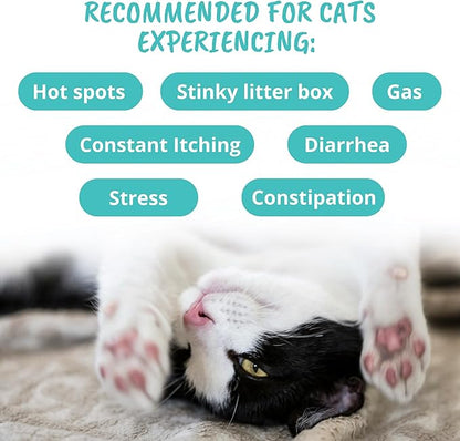 Under The Weather Pet Probiotic Chews for Cats | Promotes Normal Digestion, Balances Healthy Gut Health | 60 Star Shaped Soft Chews