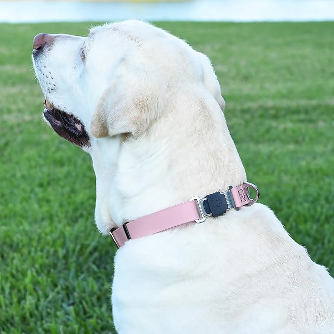 Dogline Biothane Waterproof Dog Collar with Herm Sprenger Black Stainless Steel Quick Release Buckle – Heavy Duty Tactical Durable Collar for Dogs – Comfortable and Safe Pet Collar W1 L 15-25" Pastel