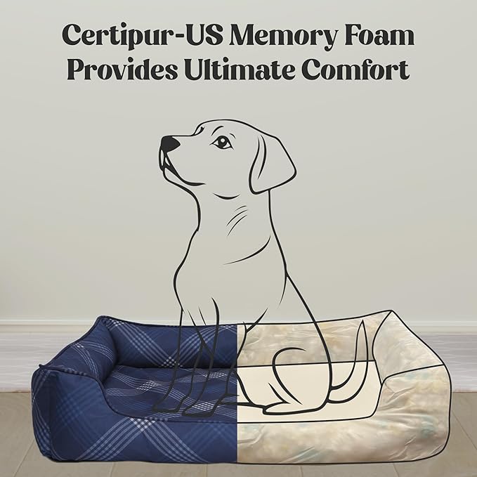 Orthopedic Bolster Dog Bed – CertiPUR-US Foam, Recycled Polyester Canvas, Washable Cover, Anti-Slip Bottom, Medium, Light Blue Check – Stylish Designer Dog Sofa