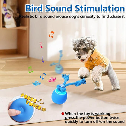 Interactive Dog Toys, Moving Dog Ball with Touch Activated, Active Rolling Ball for Puppy and Medium Dogs, Squeaky, USB Rechargeable