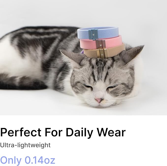Safety Cat Collar - U.S. IDA Gold Award Design, Stretchy Elastic Quick Release Non Breakaway Cat Collar Light Weight for Kitten All Small Medium Large Cats (Olive, M (7.8-15.7 inch))