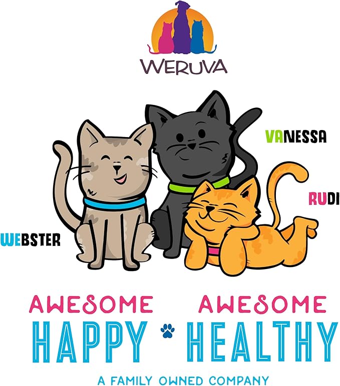 Weruva B.F.F. OMG - Best Feline Friend Oh My Gravy! Grain-Free Wet Cat Food Cans, Crazy 4 U! Chicken & Salmon, 2.8oz Can (Pack of 12)