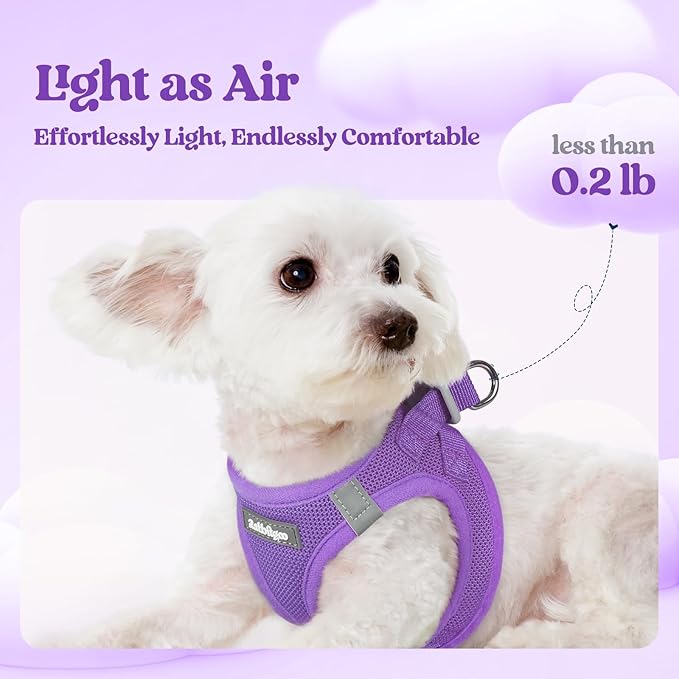 rabbitgoo Dog Harness Small Sized and Leash Set, Step in Soft Light Puppy Vest, Breathable Mesh Pet Harness, Reflective for Outdoor Safe Walking, Purple XXXS