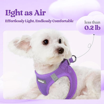 rabbitgoo Dog Harness Small Sized and Leash Set, Step in Soft Light Puppy Vest, Breathable Mesh Pet Harness, Reflective for Safe Outdoor Walking, Purple M
