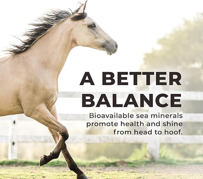 REDMOND Daily RED Crushed - Mineral Supplement for Horses (Garlic (5 LB))