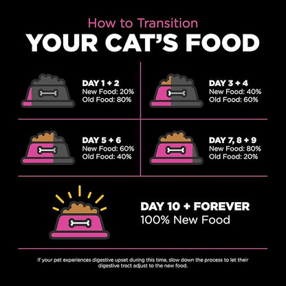 Go! Solutions Skin + Coat Care, Dry Cat Food, Chicken Recipe with Grains, 8 lb Bag