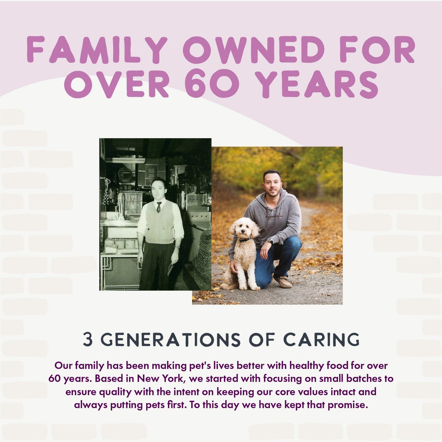 Oven Baked Salmon Treats