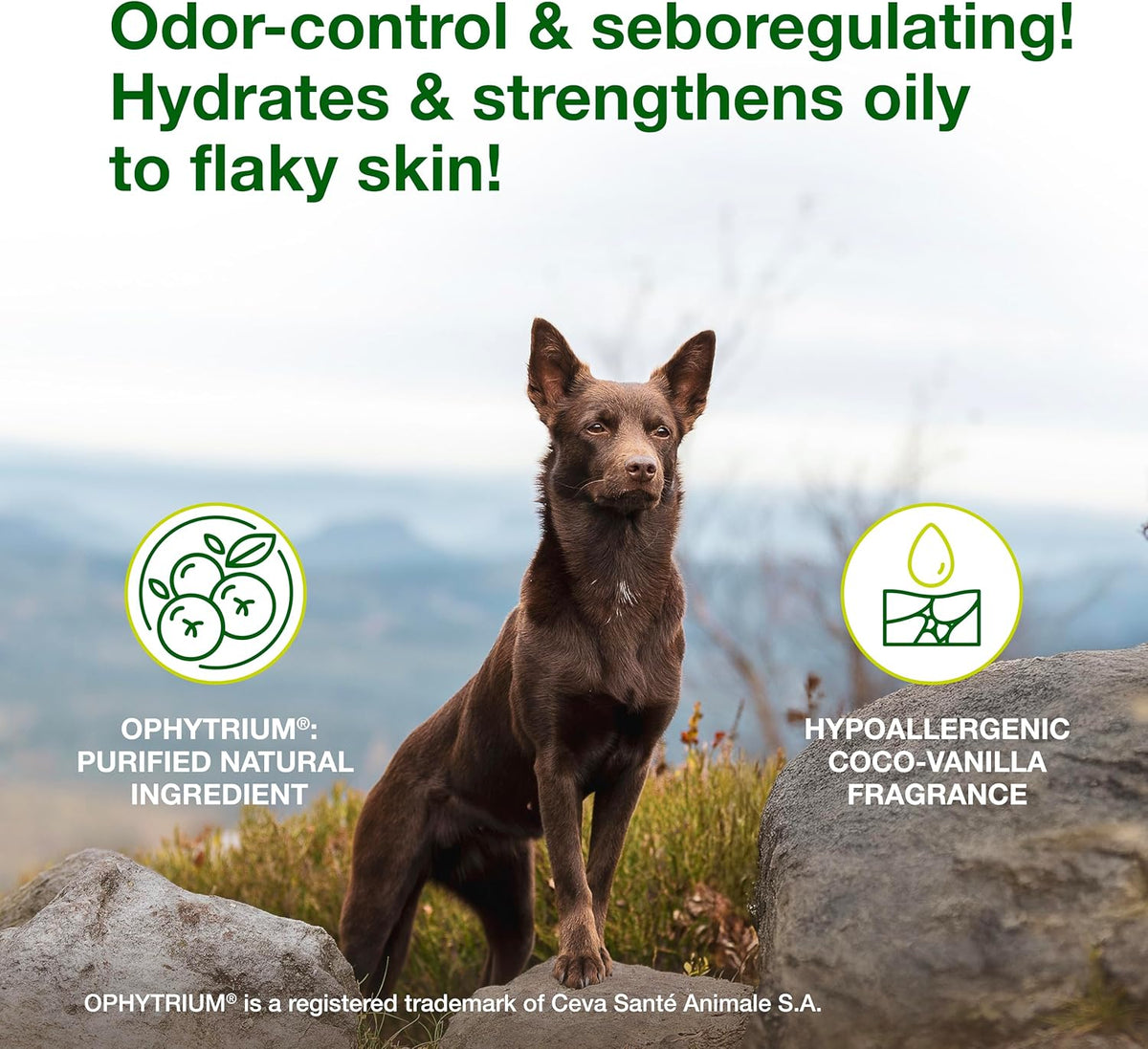 Douxo S3 SEB Mousse 5.1 oz Relief For Seborrhea In Dogs And Cats