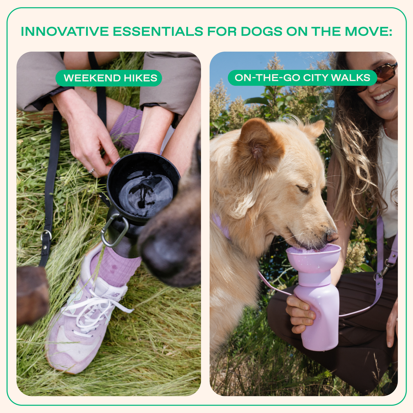 20oz Flip Dog Travel Water Bottle