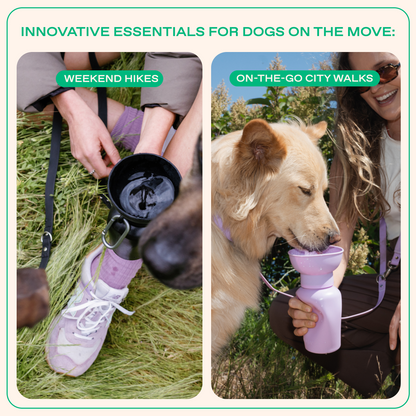 20oz Flip Dog Travel Water Bottle