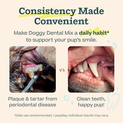 WOOF Dental Kit- Includes Pupsicle Dog Toy, Treat Tray, Shaker Bottle, Chicken Pupsicle Pops, and Dog Teeth Cleaning Powder - Supports Oral Health for Dogs - Small