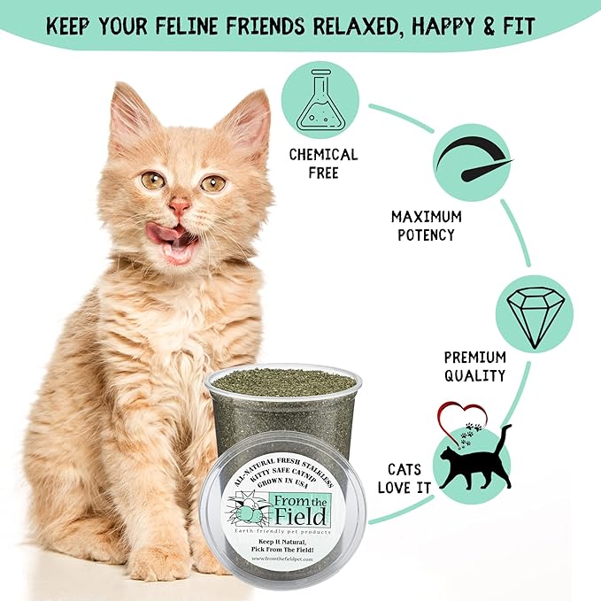 from The Field | Fine Ground Stalkless Catnip | Premium USA-Grown Catnip for Toys & Playtime | Fresh, Potent, Non-Toxic, Eco-Friendly | Safe for Kittens & Cats | Resealable 6 oz Tub