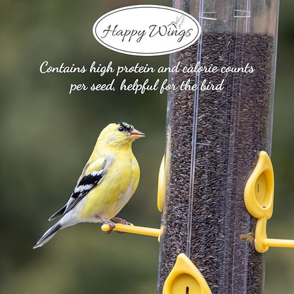 Nyjer/Thistle Seeds Wild Bird Food - 5 Pounds I No Grow Seed I Bird Seed for Wild Birds