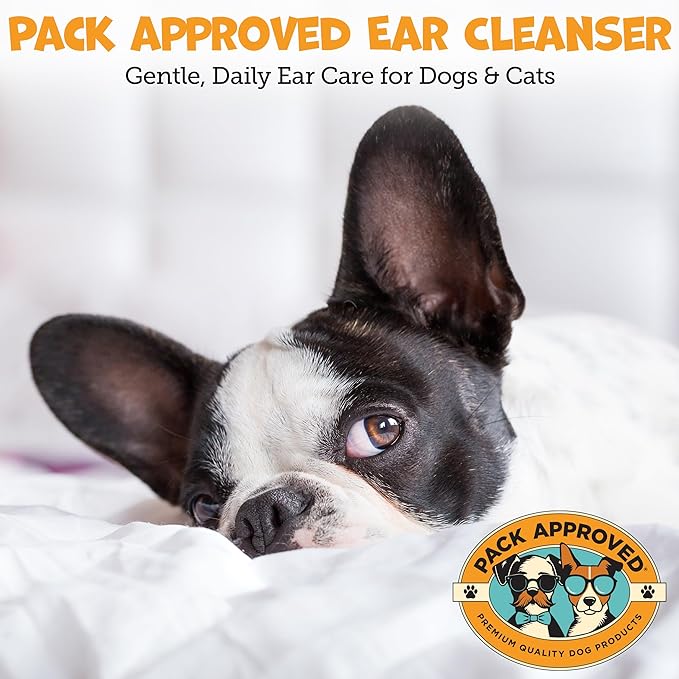 Cat & Dog Ear Cleaning Solution - Helps Remove Wax, Debris, and Dirt - Non-Stinging, Non-Burning Daily Use Formula - Cat & Dog Ear Wash for Itchy Ears - Cucumber Melon Scent (8oz)