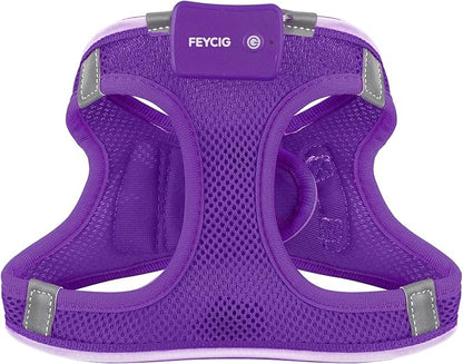 Light Up Dog Harness,Rechargeable LED Dog Harness for Small Medium Large Dogs,Reflective Lighted Safety Vest for Night Walking & Camping,Lightweight & Adjustable,Purple,L