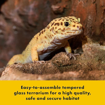 Zilla QuickBuild Reptile 10 Gallon Glass Terrarium Habitat with Bedding Tray For Geckos, Snakes, Lizards, Frogs, Turtles, and Tortoises, 20" x 12" x 10"