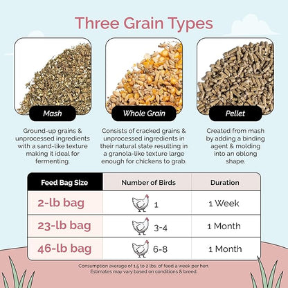 Organic Chicken Feed – Layer Pellet, Non-GMO, USA Grown, 16% Protein, Corn-Free, Soy-Free, Non-Medicated Feed for Chickens, 2 lbs Sample