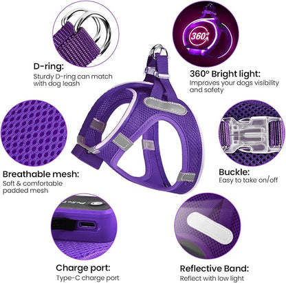PceoTllar Light Up Dog Harness, LED No Pull Reflective Dog Harness, Flashing Lighted for Night Walking - Small/Medium, (Purple,M)