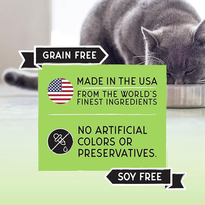 Blackwood Bounty Dry Cat Food, Whitefish & Lentil Recipe for All Life Stages, 2 Pound Bag, High Protein, Grain Free