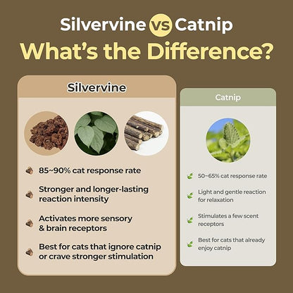 JAYU PET Active MATA Spray – 100% Natural Silvervine Spray for Cats, Liquid Catnip Alternative, Calming Spray for Indoor Kittens, Boosts Play & Engagement, Reduces Stress (1 fl oz)