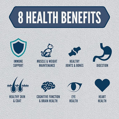 ORIJEN Guardian Senior Grain Free High Protein Premium Dry Cat Food 10lb Bag