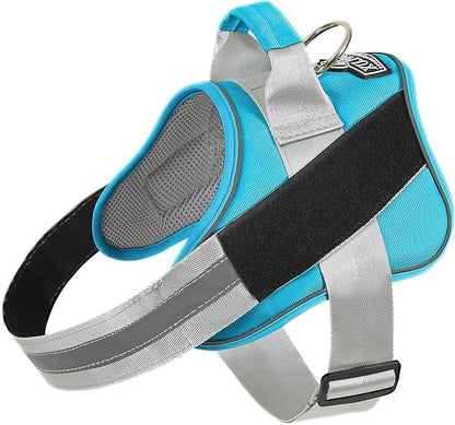 Bolux Dog Harness, No-Pull Reflective Dog Vest, Breathable Adjustable Pet Harness with Handle for Outdoor Walking - No More Pulling, Tugging or Choking (OceanicBlue, Small (Pack of 1))
