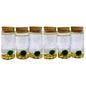 Fortune Moss Kit Office Desktop Decor