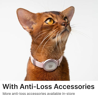 Safety Cat Collar Pro - U.S. IDA Gold Awarding Design, Elastic Quick Release Cat Collar with Buckle Non Breakaway - Lightweight for Kitten All Small Large Cats (Space Gray, S 5.9-11.8")