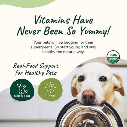 kin+kind Organic Multivitamin for Dogs & Cats - Pet Supplement for Healthy Skin and Coat - Safe, Natural Formula with Wheatgrass, Kelp, Seaweed and Coconut - Made in USA - 8 oz (Large)