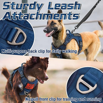 rabbitgoo Dog Harness No Pull, Military Dog Harness Medium Sized Dog with Handle & Molle, Easy Control Service Dog Vest Harness Training Walking, Adjustable Reflective Tactical Pet Harness, Blue, M