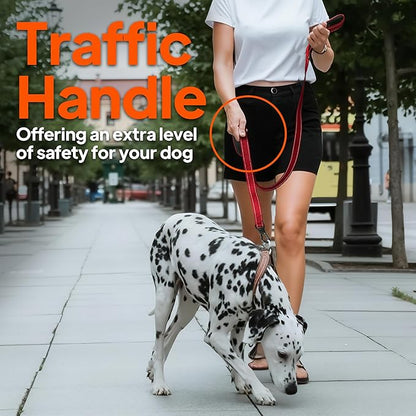 TwoEar 6FT 1IN Strong Green Dog Leash with 2 Padded Handles, Traffic Handle Extra Control, Comfortable Soft Dual Handle, Auto Lock Hook, Reflective Walking Lead for Small Medium and Large Dogs