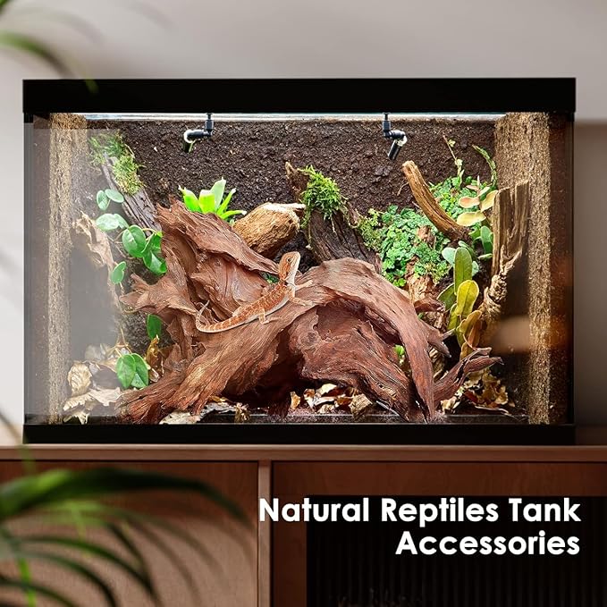 Natural Small Aquarium Driftwood for Fish Tanks & Reptile Terrariums – 100% Safe Fish Tank Decorations, Unique Twisted Branches 5-Piece 4-8 Inch Low Tannin, Easy to Sink
