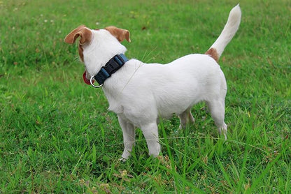 Mikivery Nylon Dog Collar with Quick Release Buckle Soft Adjustable Sturdy for Small Medium Large Dogs Haze Blue,M
