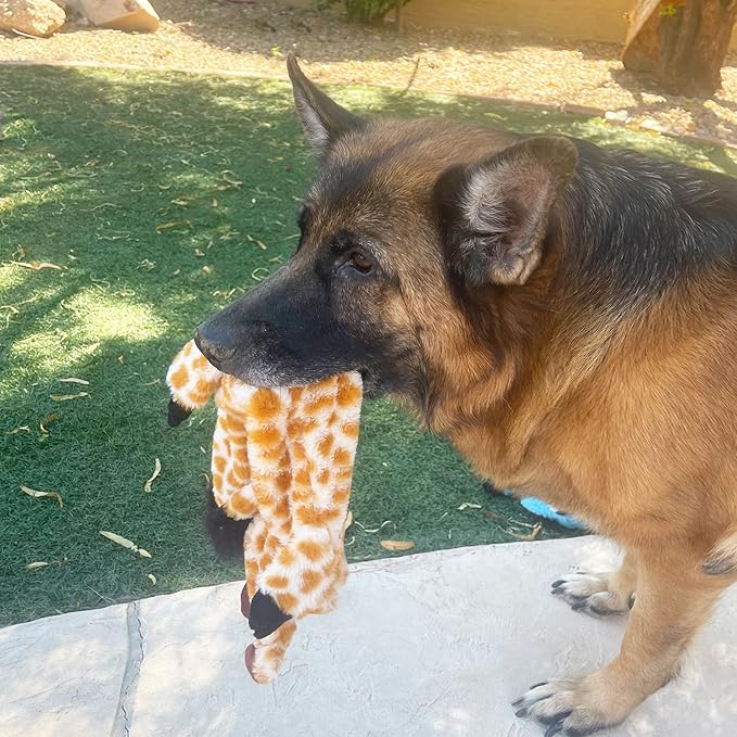 Jalousie 5-Pack Extra-Large Stuffingless Dog Toys – Premium Furrr Crinkle Squeaky Set
