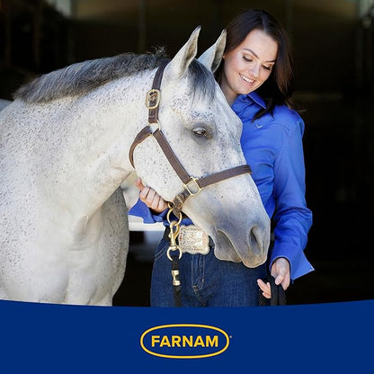 Farnam Endure Sweat-Resistant Fly Spray for Horses, Protects Against Lyme Disease, 15 oz