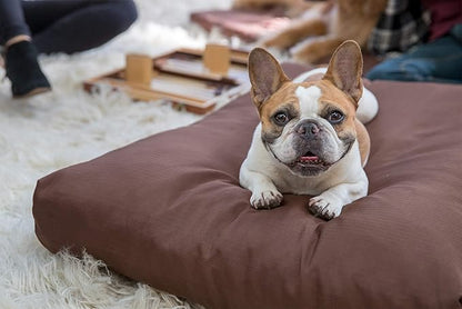 K9 Ballistics Tough Rectangle Pillow XL Extra Large Dog Bed - Removable Cover, Washable, Durable & Water Resistant Dog Bed Made for Big Dogs 54"x38", Obsidian Black