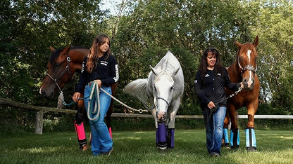 Warrior Fly Boots for Horses - Breathable Mesh Horse Boots for Fly Protection & Leg Comfort - Set of 4 (The Warrior, Light Blue)