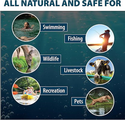 Airmax Black DyeMond Pond Dye 4X Concentrate for Outdoor Ponds & Lakes, Natural Pond Colorant & Beauty Enhancer, Block Ultraviolet Rays, Fish, Bird & Livestock Safe, Easy Liquid Application, 1 Quart