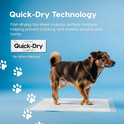 IRIS USA Dog Pee Pads – Puppy Essentials, Dog Pads, Quick Dry, Leak Proof, Thick Absorbent 6-Layer Design for Potty Training, Regular Size 22" x 22", 100 Count